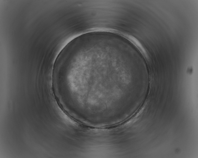 X0000094421244200711211403