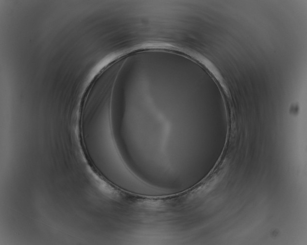 X0000094421245200711211403