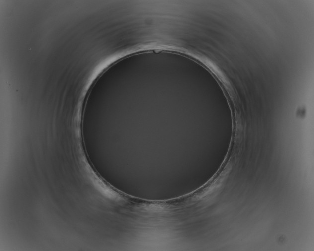 X0000094421246200711211403