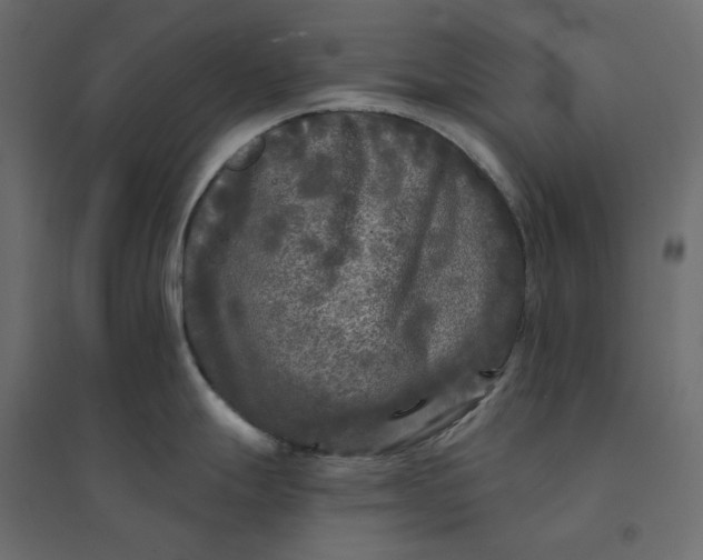 X0000094421247200711211403