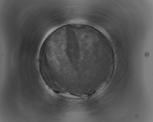 X0000094421248200711211403