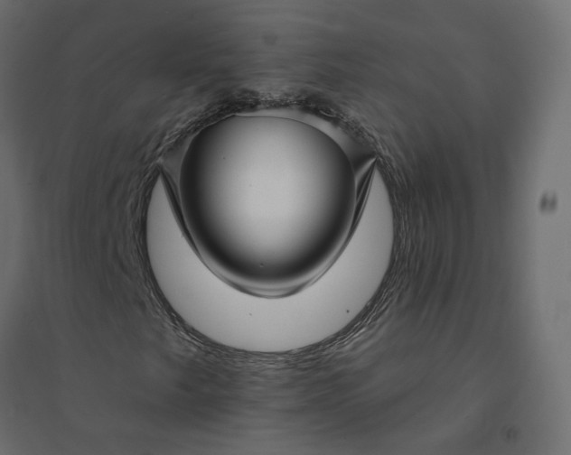 X0000094421249200711211403