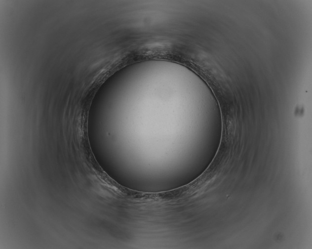 X0000094421250200711211403