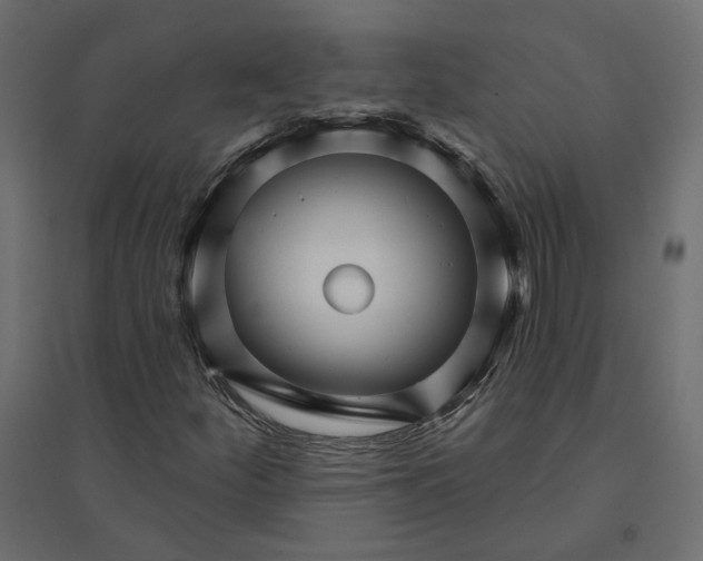 X0000094421252200711211403