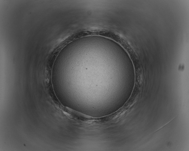 X0000094421253200711211403