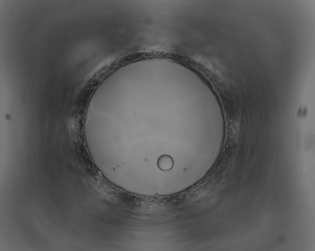 X0000094421254200711211403
