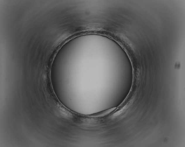 X0000094421257200711211402