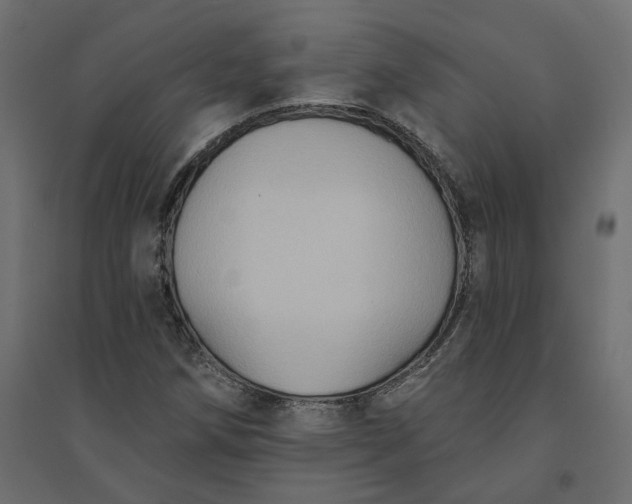 X0000094421258200711211402