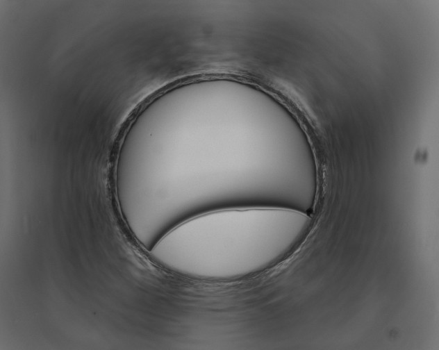 X0000094421260200711211402