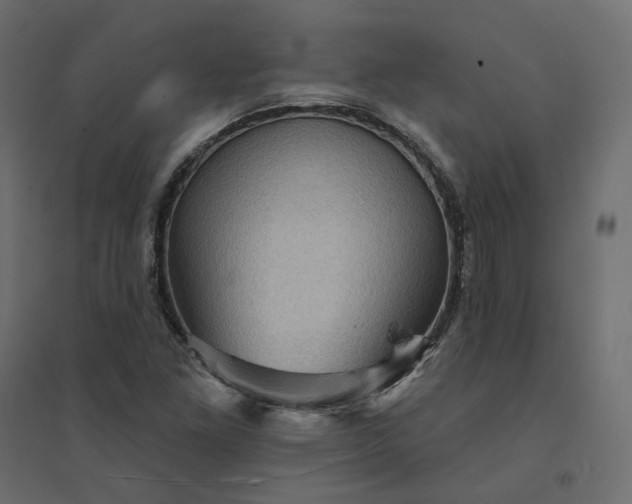 X0000094421261200711211402