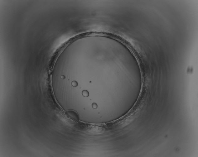 X0000094421263200711211402