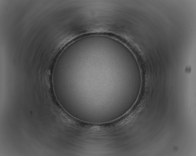 X0000094421265200711211402