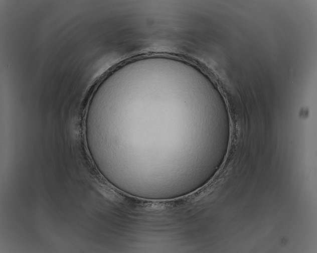 X0000094421266200711211402