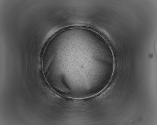 X0000094421267200711211402