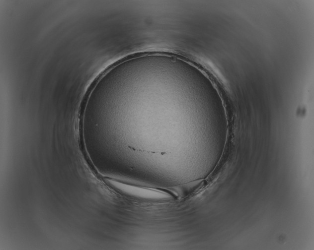 X0000094421268200711211402
