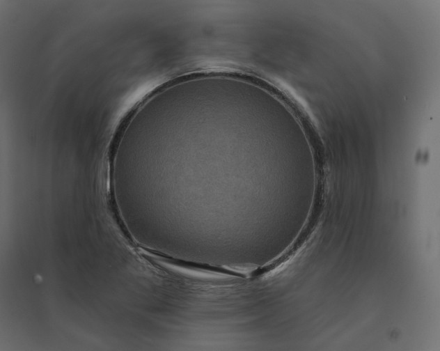 X0000094421269200711211402