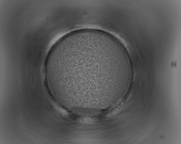 X0000094421271200711211402