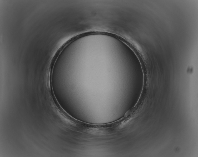 X0000094421272200711211402