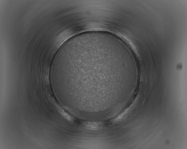 X0000094421273200711211402