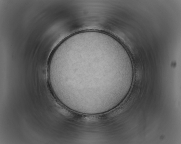 X0000094421274200711211402