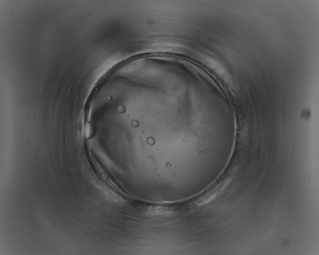 X0000094421275200711211402