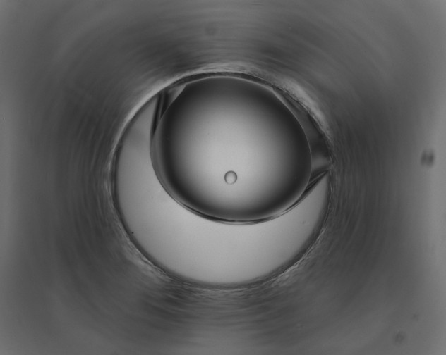 X0000094421276200711211402