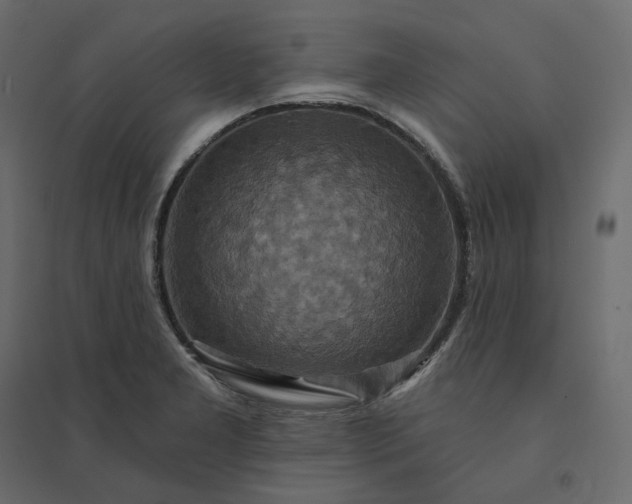 X0000094421277200711211402