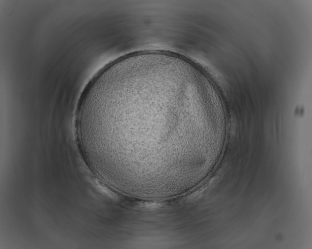 X0000094421278200711211402