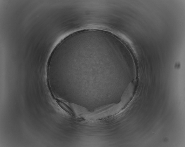 X0000094421280200711211402