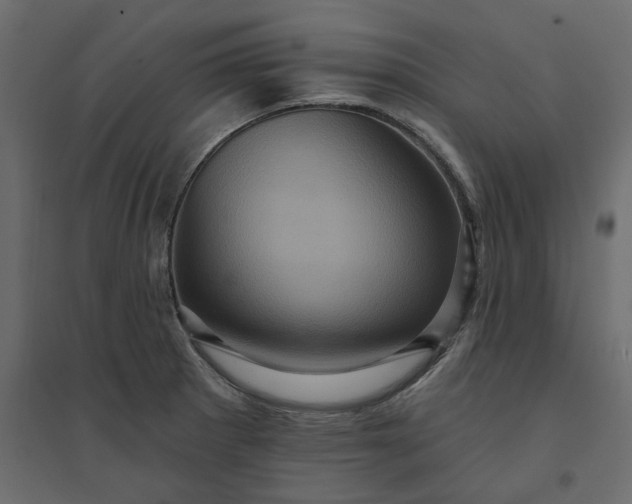 X0000094421281200711211402