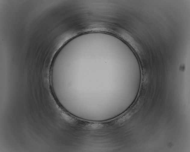 X0000094421282200711211402