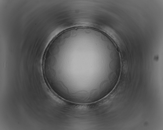 X0000094421283200711211402