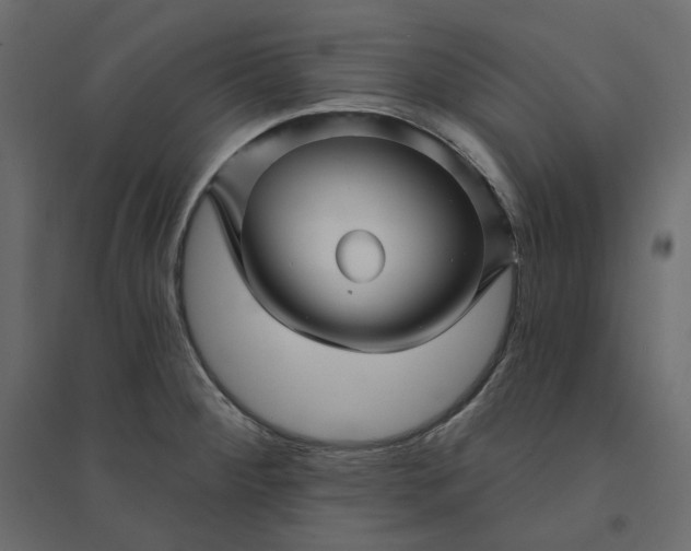 X0000094421284200711211402