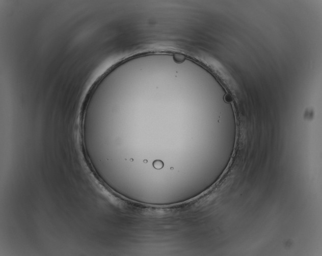 X0000094421286200711211402