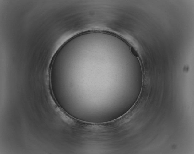 X0000094421287200711211402