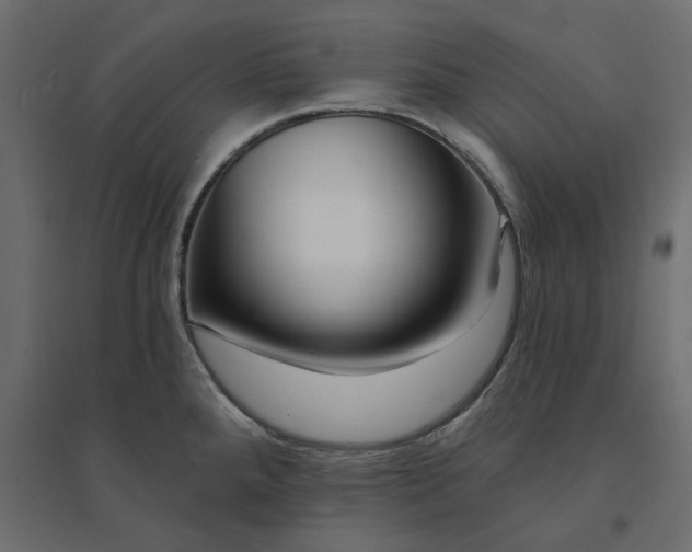 X0000094421288200711211402