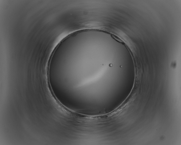 X0000094421291200711211402