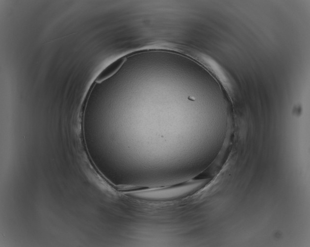 X0000094421292200711211402