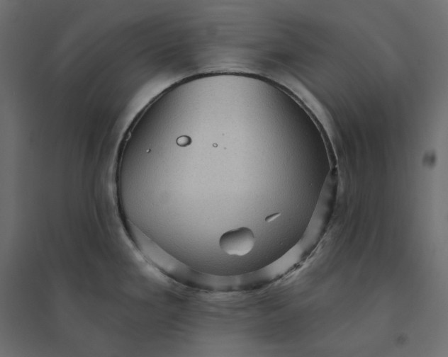 X0000094421293200711211402