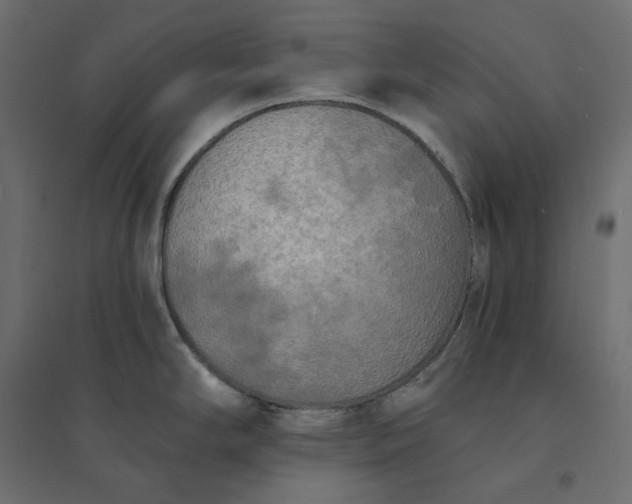 X0000094421294200711211402