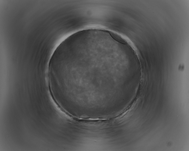 X0000094421295200711211402