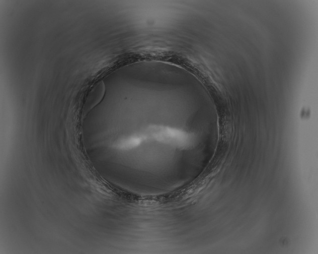 X0000094421297200711211401