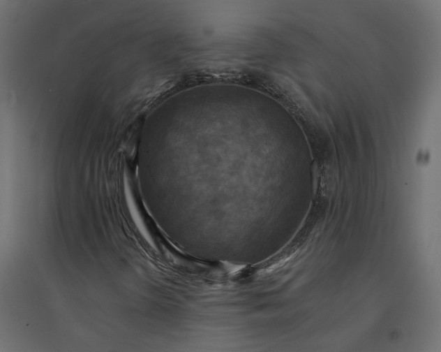 X0000094421298200711211401