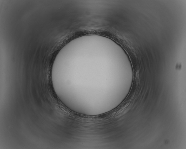 X0000094421300200711211401