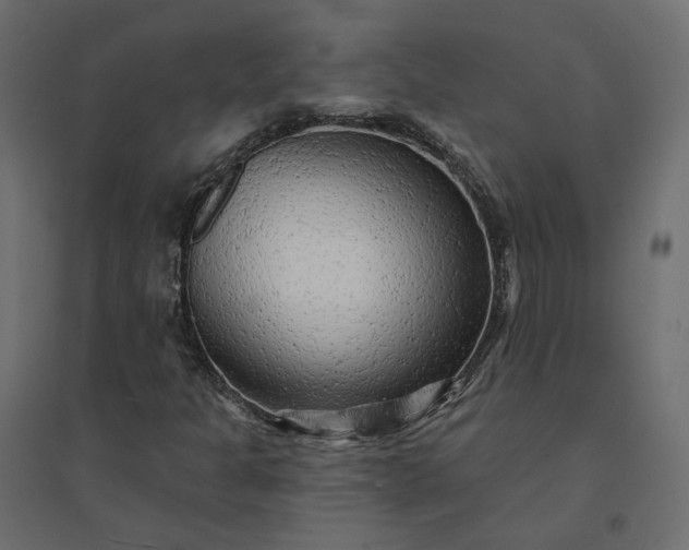 X0000094421301200711211401
