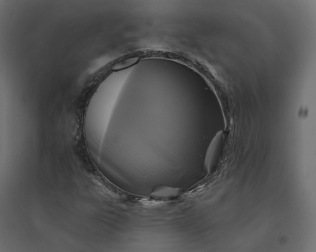 X0000094421303200711211401