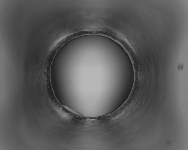 X0000094421304200711211401