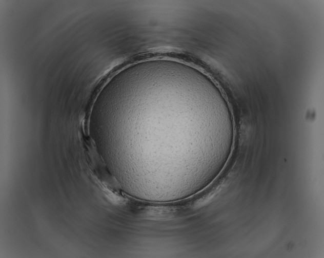 X0000094421305200711211401