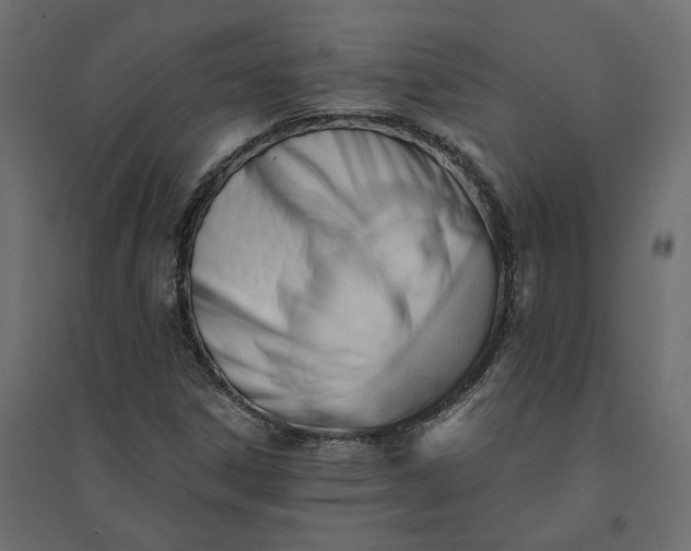 X0000094421306200711211401