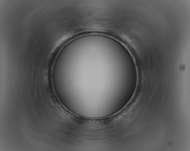 X0000094421307200711211401